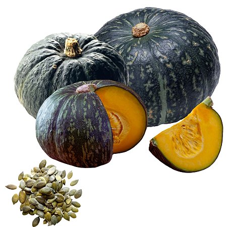 Semente Abóbora Japonesa Cabotia ENV