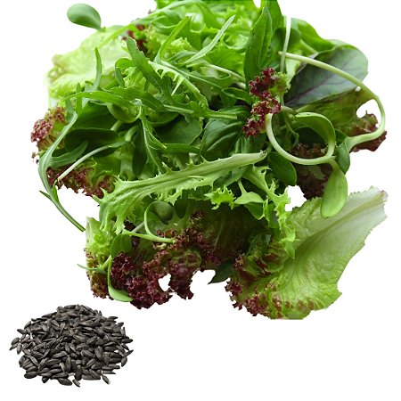 Semente Mix de Folhas