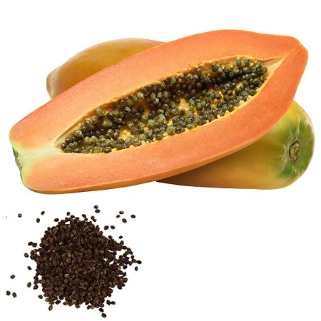 Semente Mamão Formosa