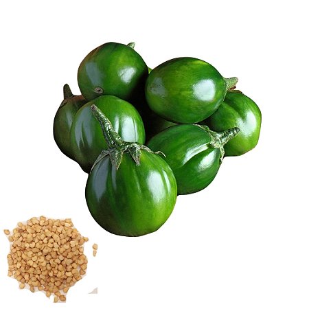 Semente Jiló Redondo