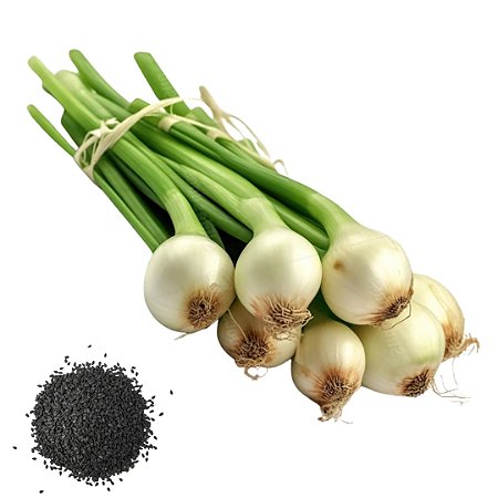 Semente Cebola Conserva