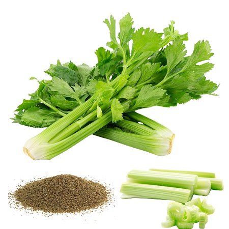 Semente de Aipo ou Salsão