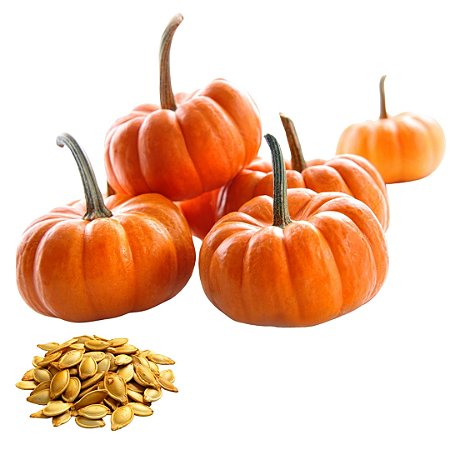 Semente Abóbora Mini Moranga