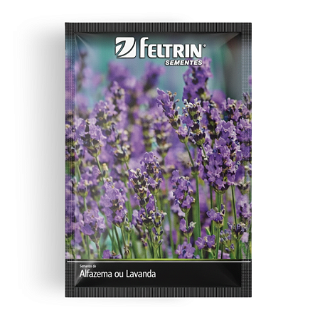Semente Lavanda ou Alfazema