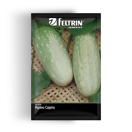 Semente Pepino Caipira