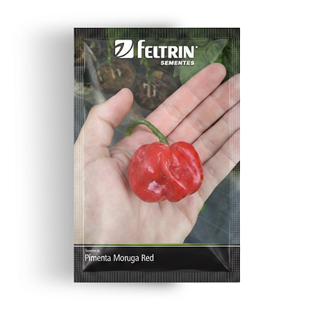 Semente Pimenta Moruga Red