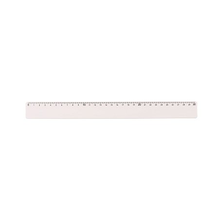 13763 - Régua Plástica 30cm