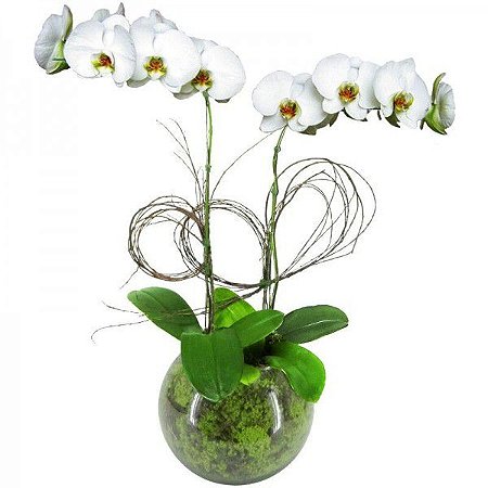 Assinatura Flores a Semana Toda