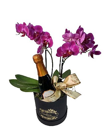 caixa box com mini orquídeas.