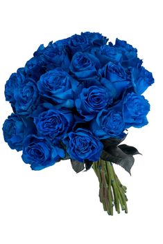 Buque com 24 rosas azuis