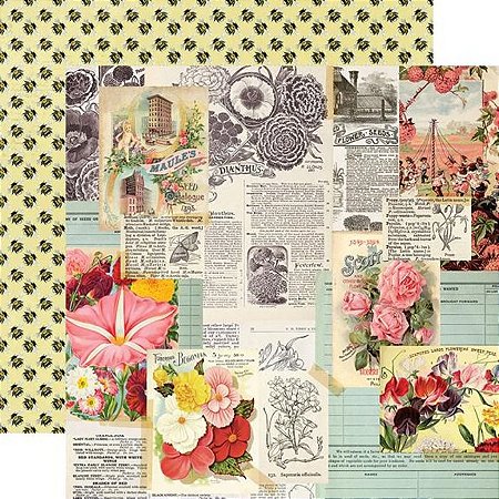 Coleção Simple Vintage Garden District - Folha I see the Beauty - Simple Stories