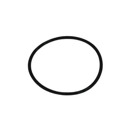 Oring do filtro do reservatório Cafeteira Saeco, Gaggia