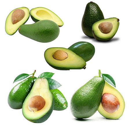 Kit Abacate 1 Manteiga 1 Avocado 1 Fortuna 1 Quintal 1 Breda