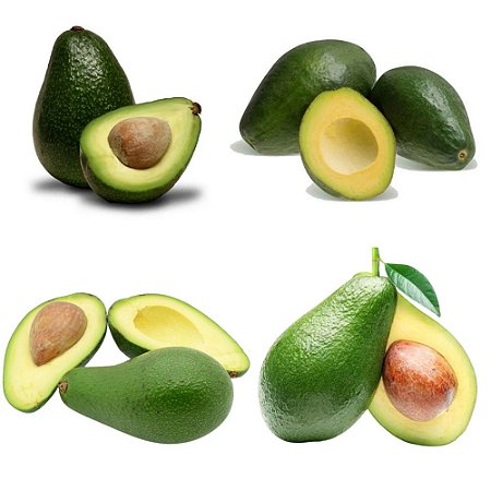 Kit 4 Abacates 1 Avocado, 1 Manteiga, 1 Margarida, 1 Fortuna