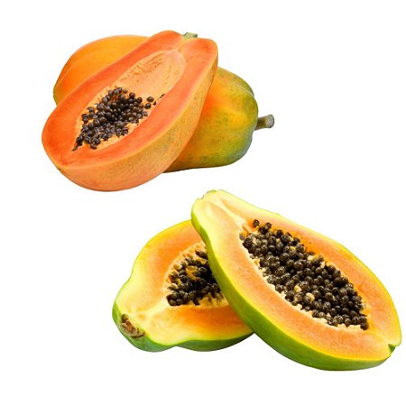 Kit De 2 Mudas de Mamão Com 1 Papaya e 1 Formosa Lindos