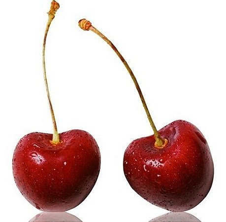 Muda de Cereja de Bolo ou Cereja Fruta Enxertada Para Produzir