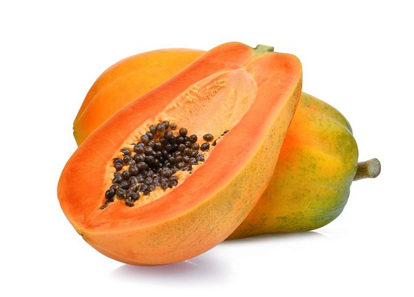 Muda De Mamão Papaya / Papaia