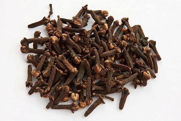 Muda De Cravo Da Índia Especiaria Aromática Exótico