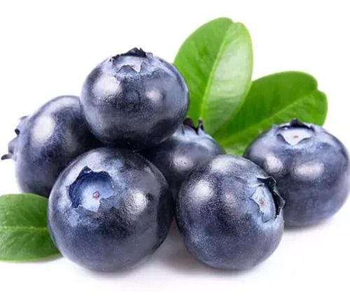 Muda De Blueberry Mirtilo Para Produzir Raridade Exótica