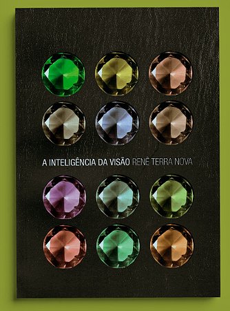 A INTELIGÊNCIA DA VISÃO