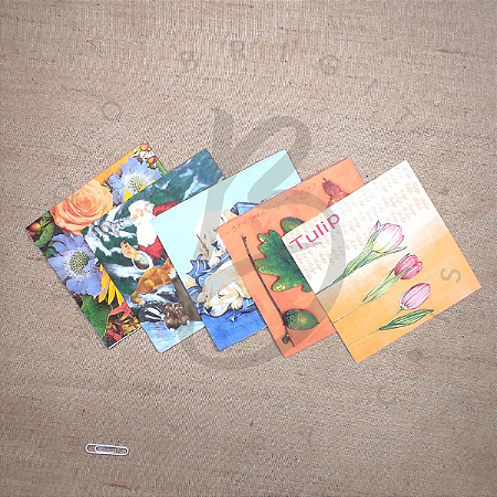 Guardanapos Decorativos Diversos - Kit 13