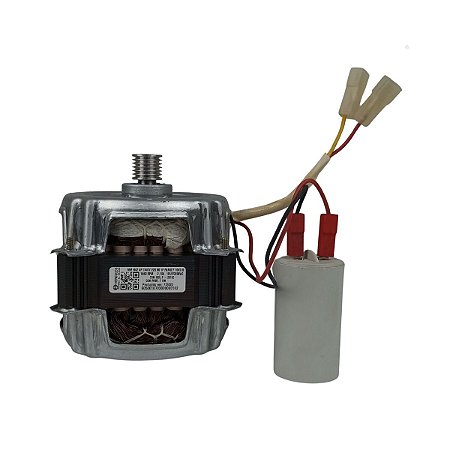Motor Original Lavadora Mueller Family 1/4 220V