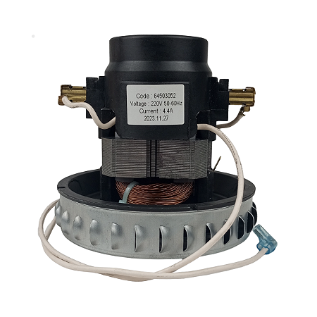 Motor Original Aspirador Electrolux A10N1 GT20 GT30N 220V