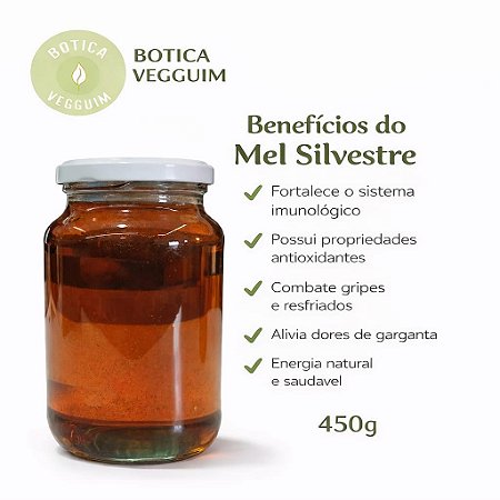 Mel Silvestre Puro 100% Natural – 450g