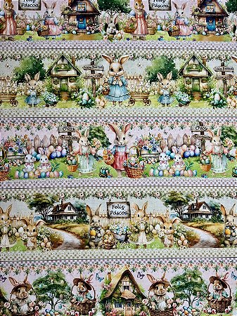 BR081 Barrado Vila dos Coelhos