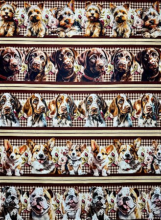 BR238 Barrado Dog