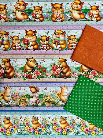 Kit BR270 Barrado Jardim das Capivaras