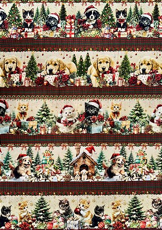 BR294 Barrado pet noel