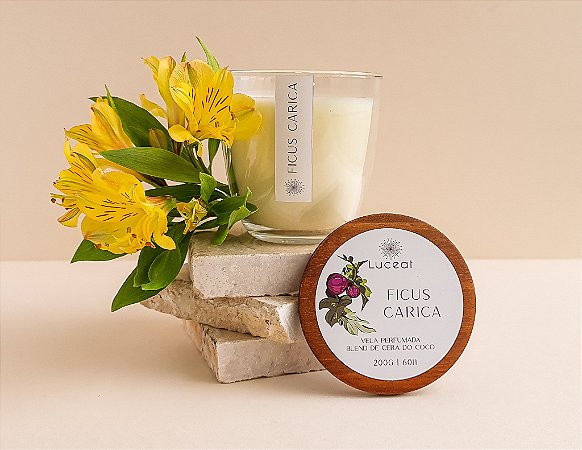 Vela Ficus Carica - Figo Ambarado