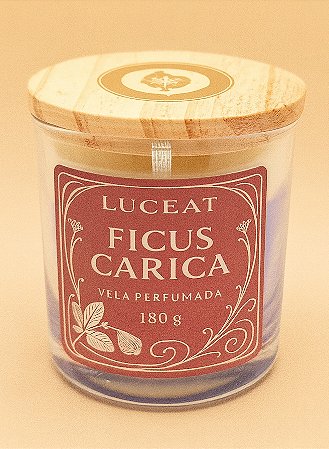 Vela Ficus Carica - Figo Ambarado