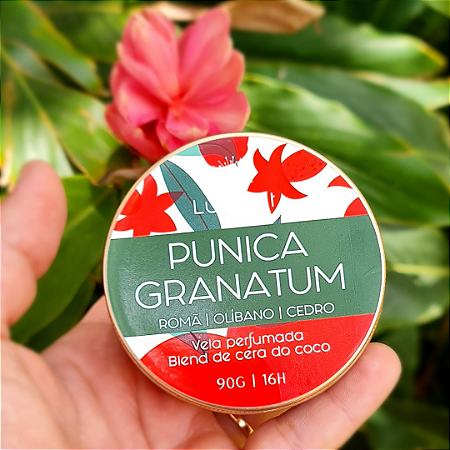 Vela Punica Granatum- Romã