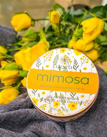 Vela Mimosa - Vela Mimosa e Cardamomo