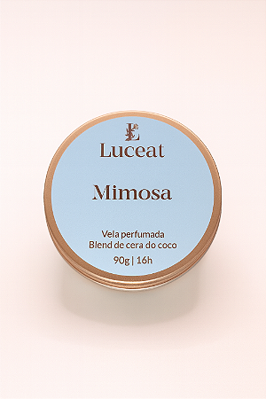 Vela Mimosa - Vela Mimosa e Cardamomo