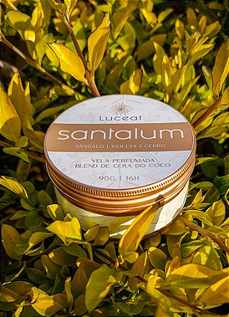 Vela Santalum - Vela Palo Santo