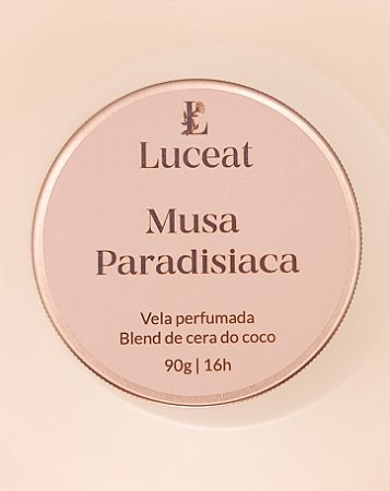 Vela Musa Paradisíaca - Vela Bolo de Banana e Nozes