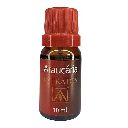 Araucária - Extrato Essencial Concentrado