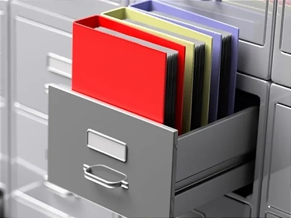 Serviço de Organização de Arquivos Digitais e Físicos