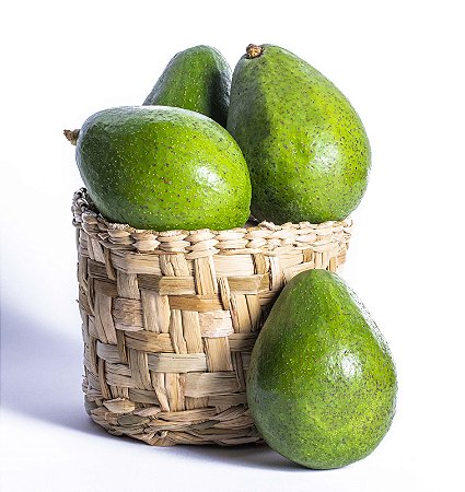 ABACATE ORG BD 600GR