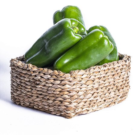 PIMENTAO VERDE BD 450GR