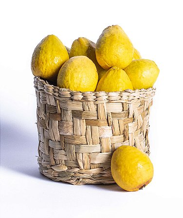 GOIABA NAC VERMELHA ORG 500GR