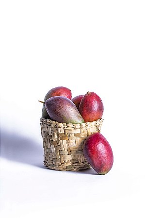 MANGA PALMER ORG BD 500GR