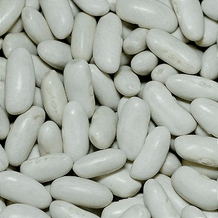 Feijão Branco