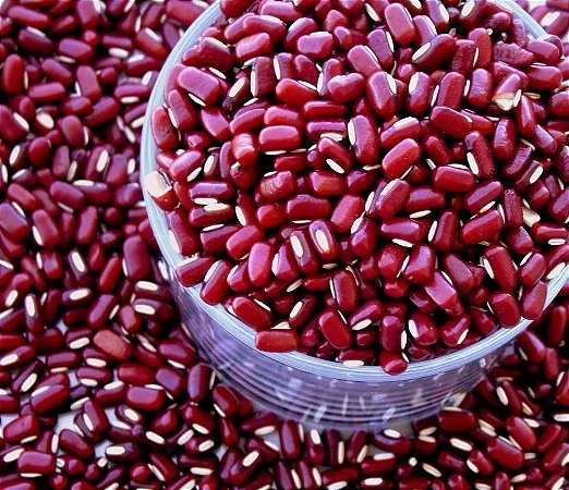 Feijão Azuki