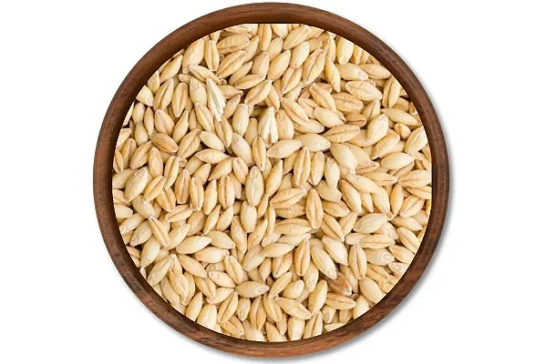 Cevada Perolizada cevadinha