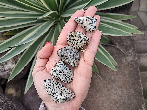 Pedra Rolada JASPE DÁLMATA- Busca a criança Interior, traz alegria e leveza para a Vida