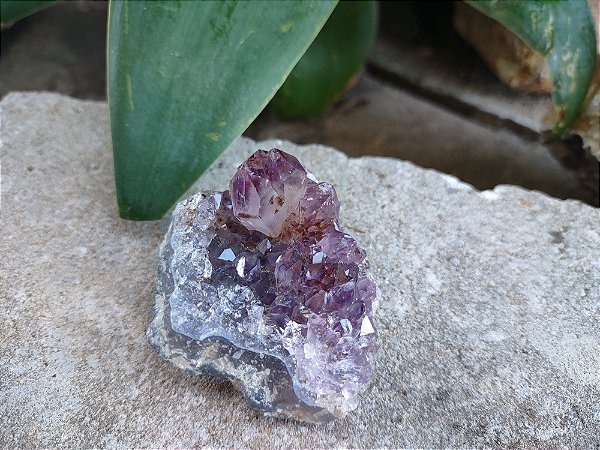 Drusa de AMETISTA (Intuição e Conexão)